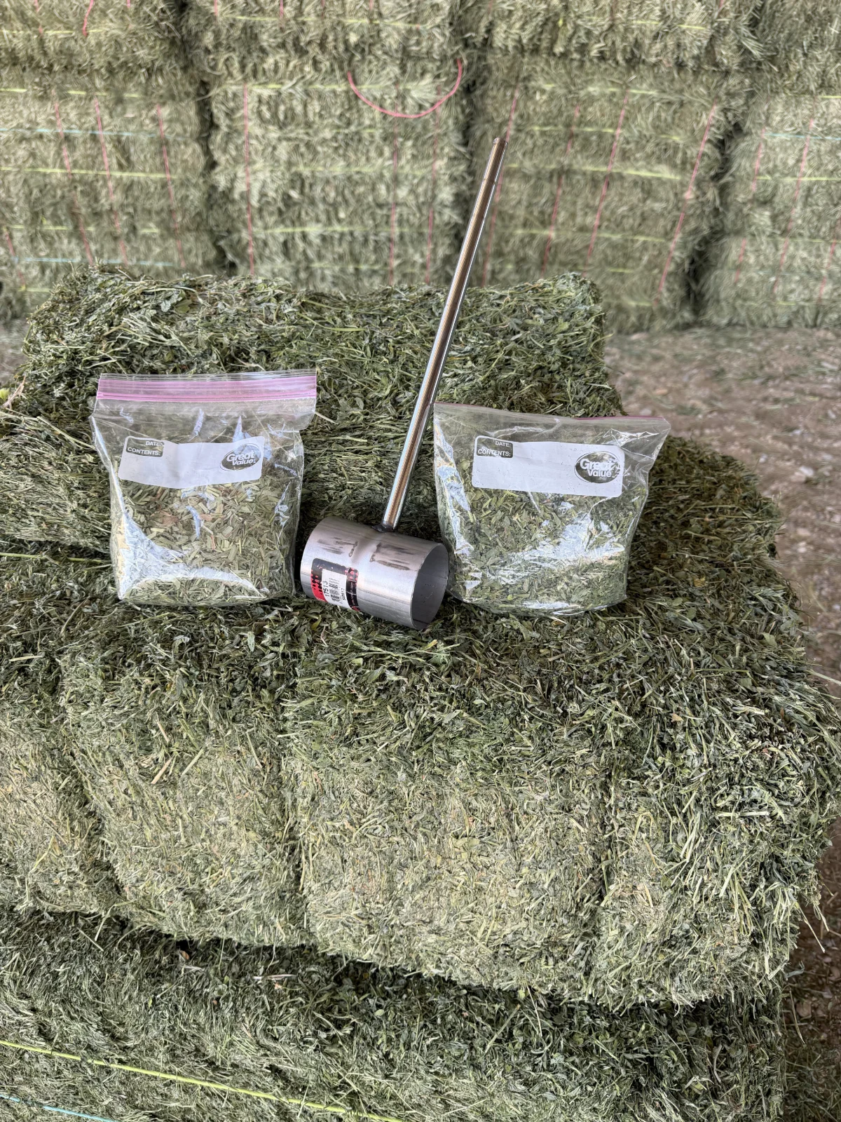 Testing Hay