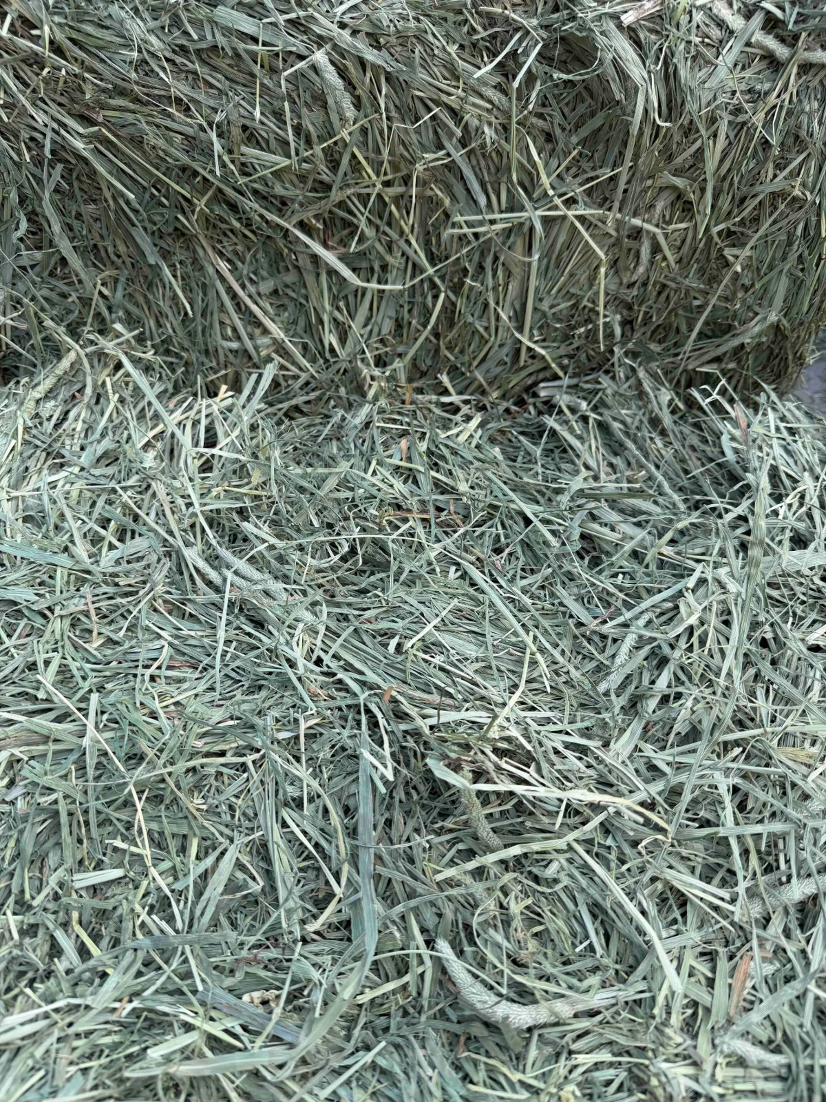 Second cut timothy hay bale